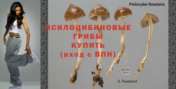 Альфа ПВП Туринск