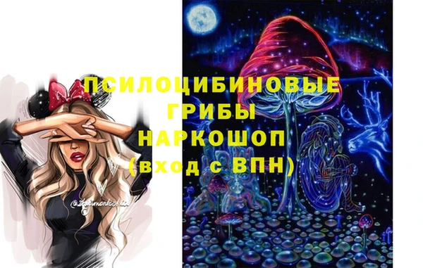 крисы Тутаев