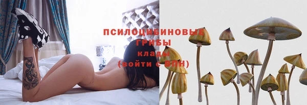 стафф Тында