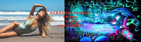 стафф Тында