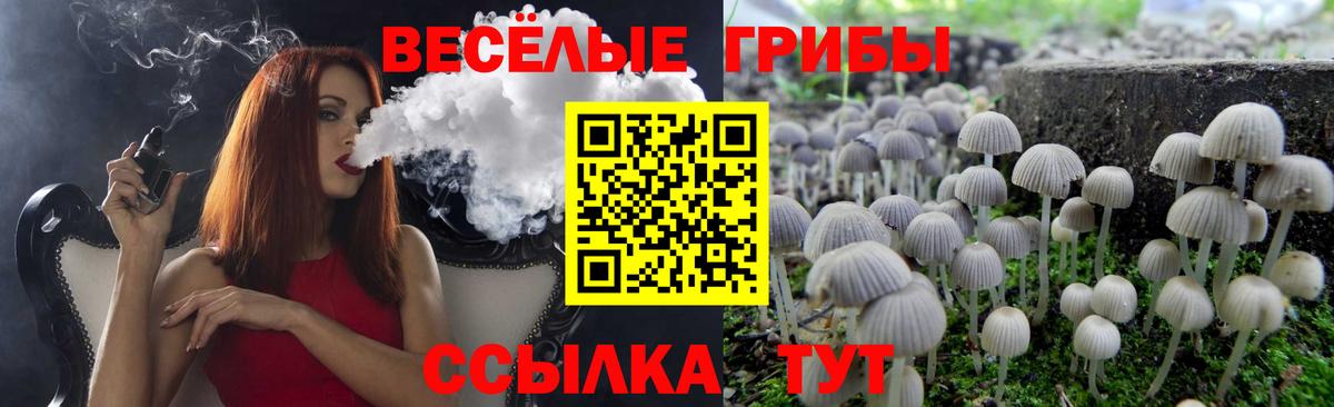 Галлюциногенные грибы ЛСД Белово